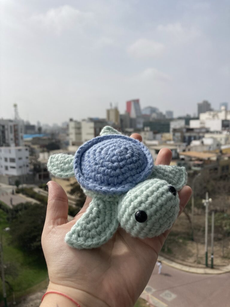 Playera Artesanal De Tortuga Para Niño | 100% Algodón Unisex - Mairos Pachi