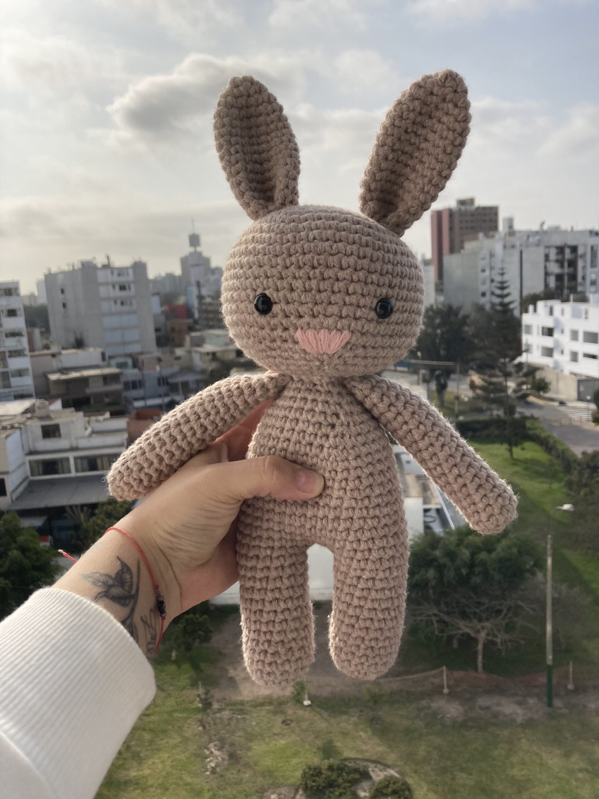 Amigurumi - manibejo crochet